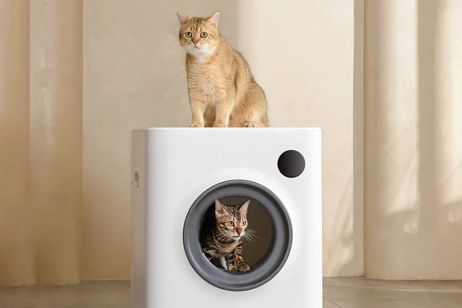 best automatic litter box for cats