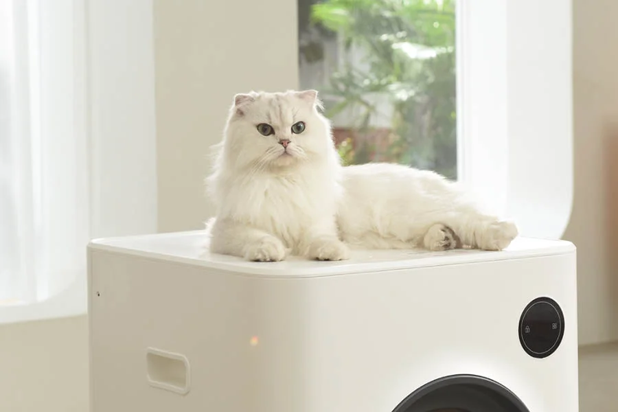 best automatic litter box for cats